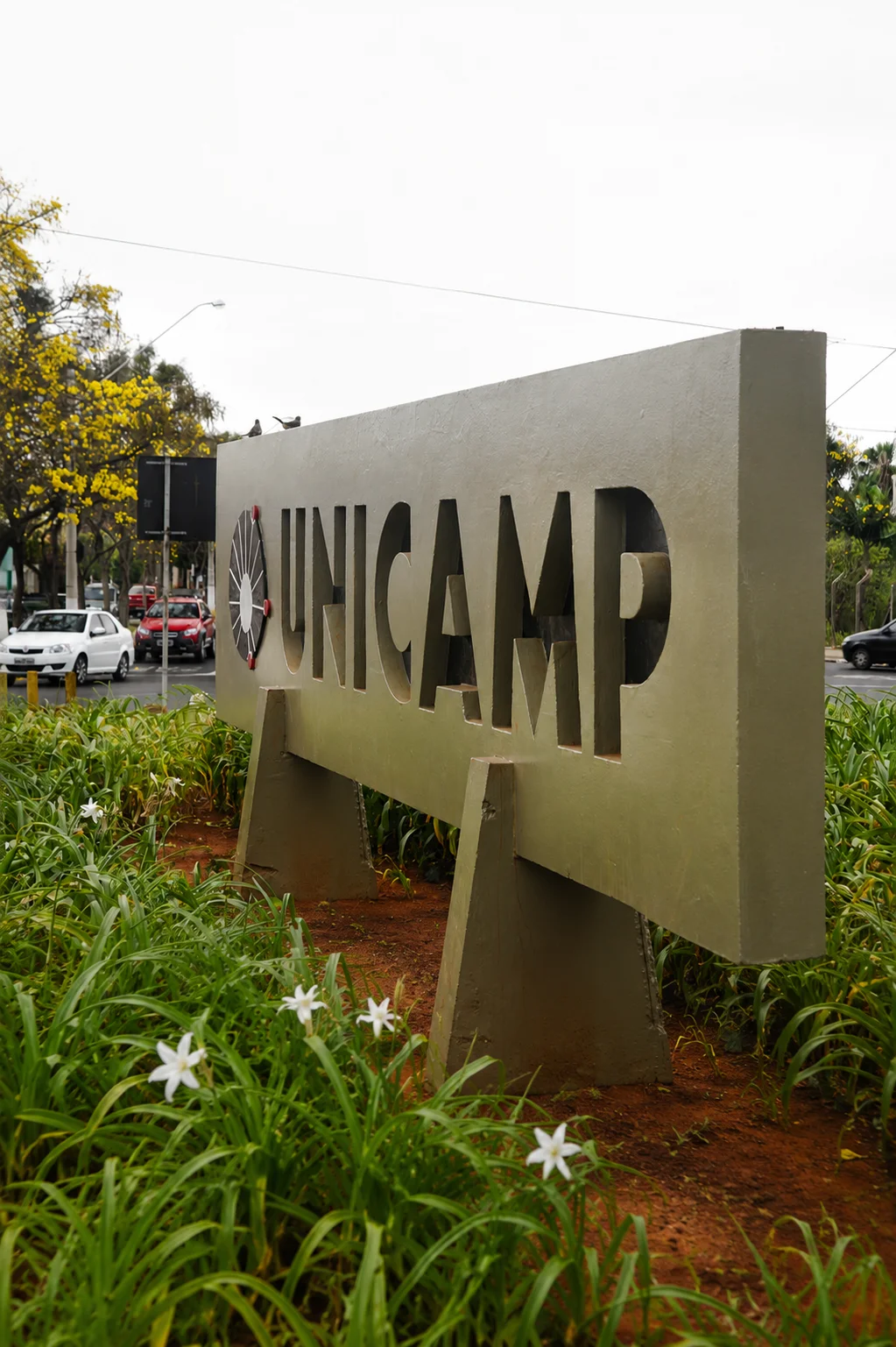 Unicamp (Imagem editada por IA)
